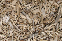 biomass boilers Gellywen