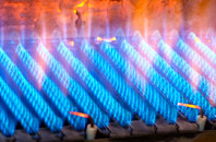 Gellywen gas fired boilers